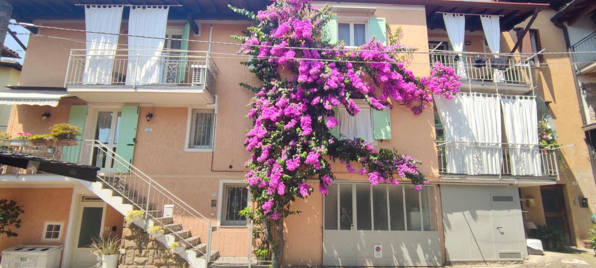 Dolce Lago B&B ซานเฟลีเช เดล เบนาโก ภายนอก รูปภาพ